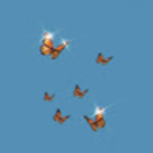 Meet your Posher, Helena